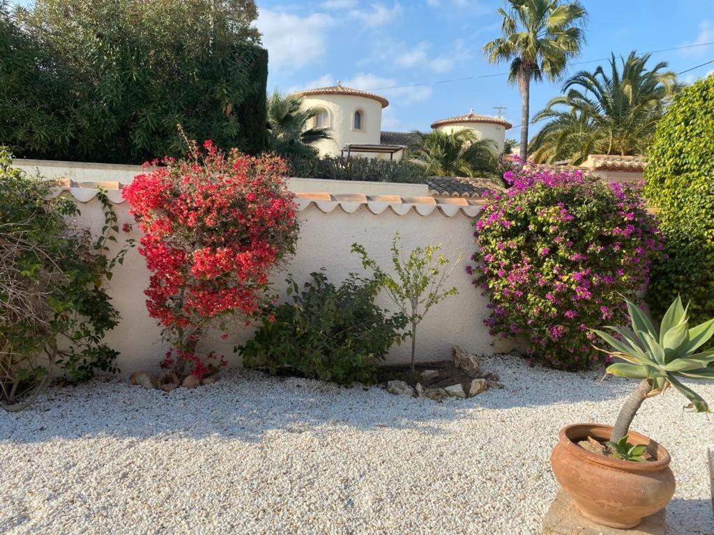The Best Holiday Villa Calpe Eksteriør billede